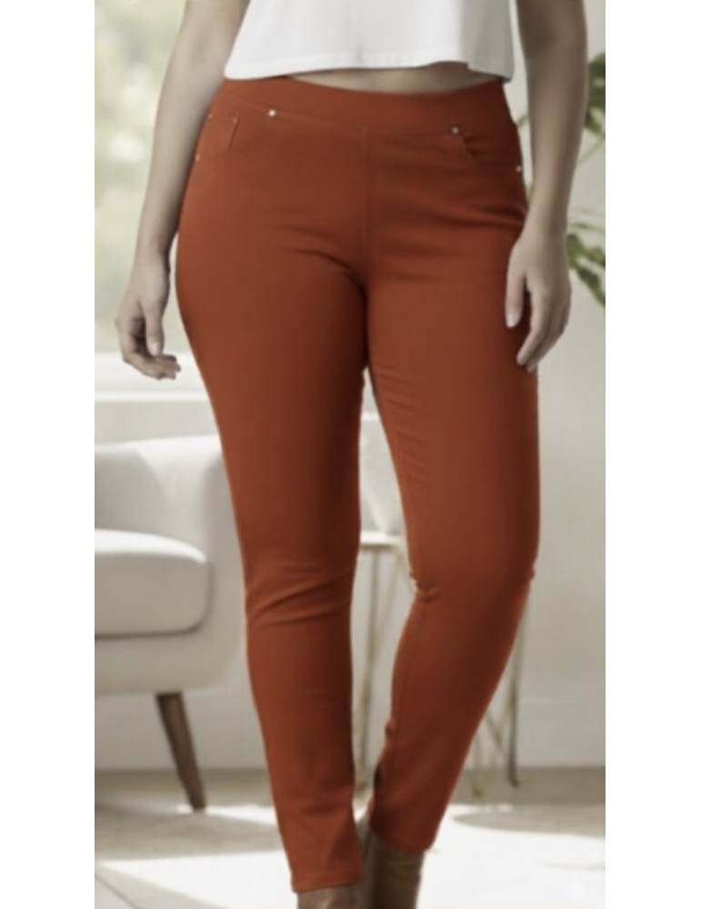 PANTALON / JEGGING STRECH